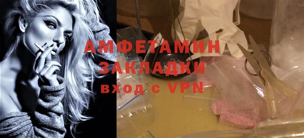 твердый Алзамай