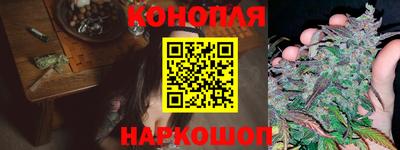 амф Севастополь