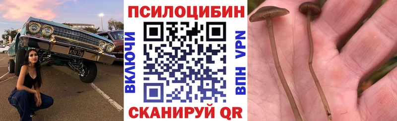 blacksprut маркетплейс  Октябрьский  Галлюциногенные грибы ЛСД 